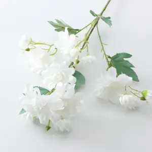 S30b90e6651f84ff8965e843685b31b7ev