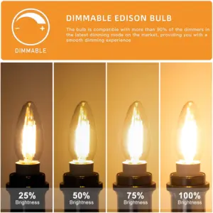 Vintage LED Candle Bulbs Set of 10 10 S30e1bc79317044058654e274936b9ad1z