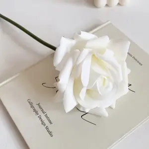 S31205778d8eb42689817a5ddf59d516c8