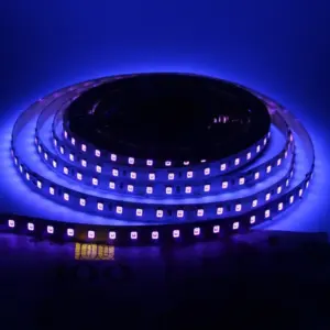 12V UV LED Strip Light for Disinfection 11 S312ce9fa76ad4b7ab7e9d47829769f51K