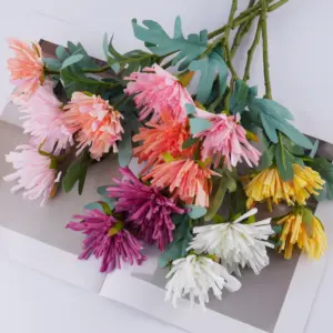 S31da024c364d401a9a1519d192e04c33o