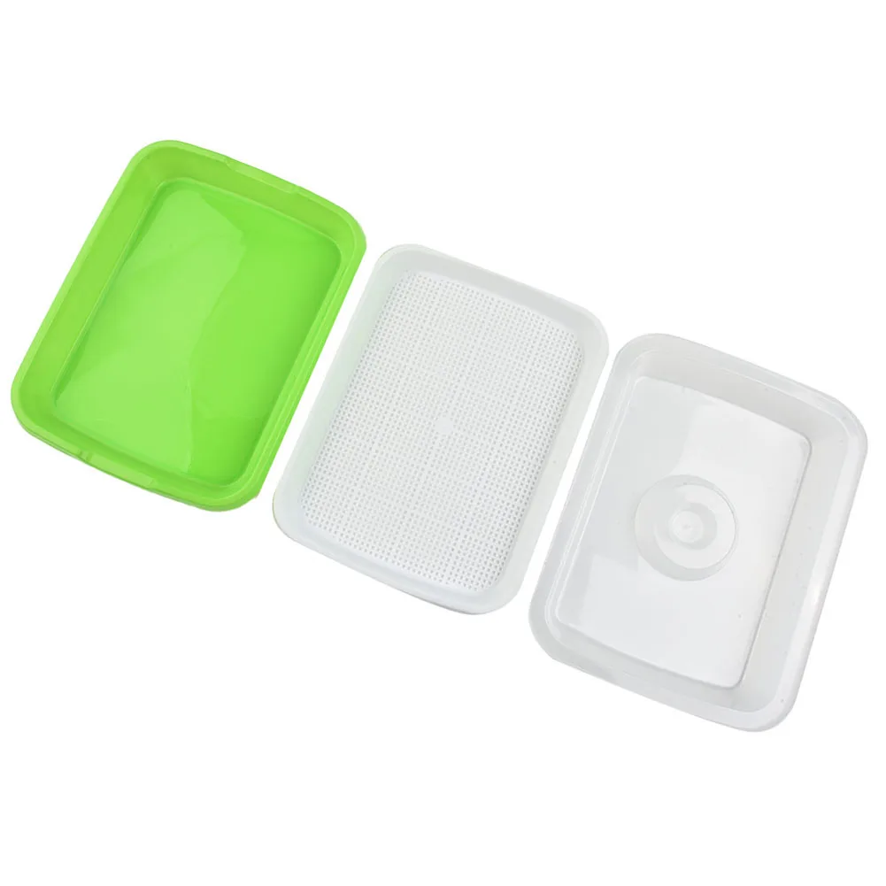 Vibrant Microgreens Growing Tray 33x26x9cm 4 Vibrant Microgreens Growing Tray 33x26x9cm - Image 4