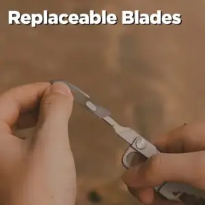 S32b71e8bf77b4cf6beced24931e5deccb