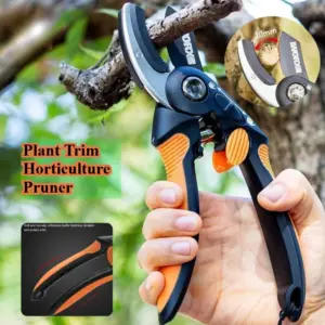 S32c4a7270aac4b65892ac8007acf2f36e