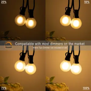 S33171f767ec94963a9784967faf56f9eM