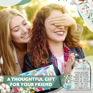 Friendship Acrylic Heart Ornament 9 S348281dc72544fee930ad432dc4aa963n