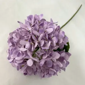 S35ab42dffa144177a6f81eebd0cad0b4e