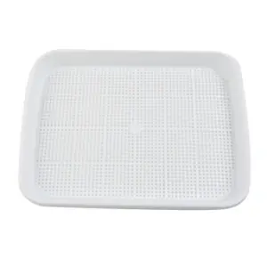 Vibrant Microgreens Growing Tray 33x26x9cm 10 S36940fe66e0d4e4a83046ee71f9ab538M