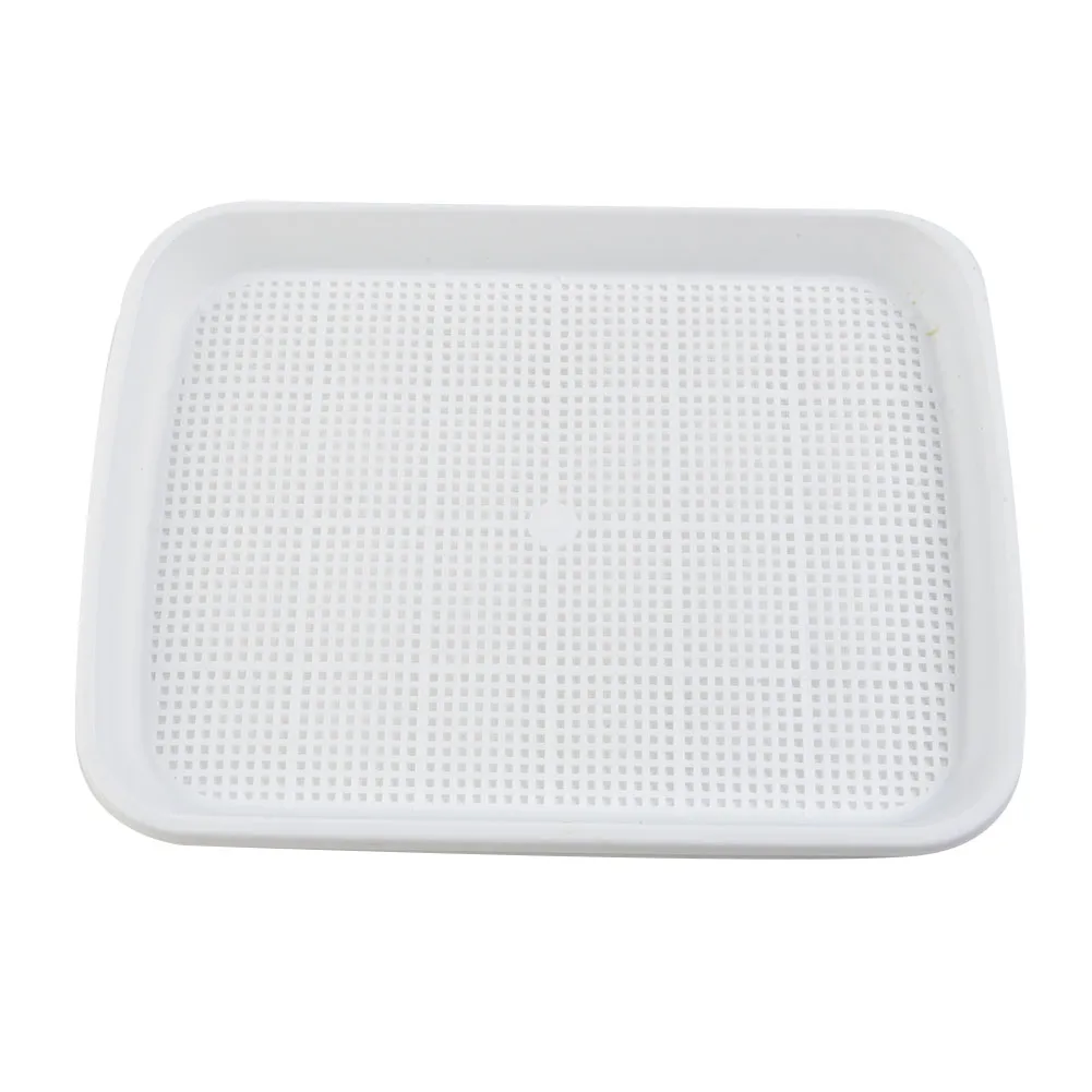 Vibrant Microgreens Growing Tray 33x26x9cm 5 Vibrant Microgreens Growing Tray 33x26x9cm - Image 5