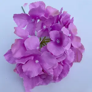 S3747fdb0dac4465c92f60e50c96a2b28l