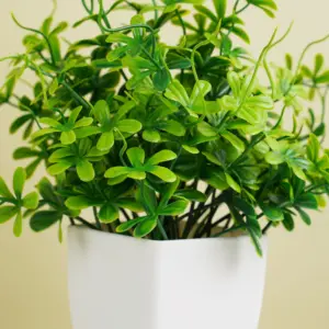 S3ba33d2c3b224feebcdf7283b7309797G