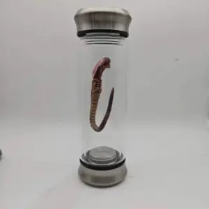 S3e5b6107827740049a0d2339e891326aC