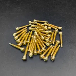 Hexagon Magnet Screws for Electric Guitars 16 S401e5e9c4b6d4758907831f1559c8c3fl