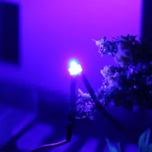 20-Pack Pre-wired Miniature LED Lamps for Models 13 S406a469bd823460cb60b7bc4ff04337ex