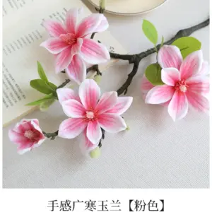 S406c173feadc4139b0c71850f2f13defR