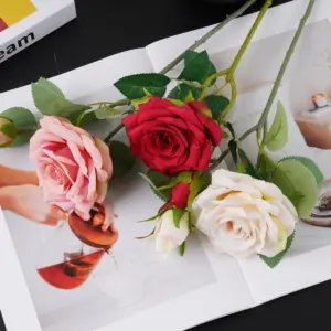 S40dac4b757ad44cfa77018143ac5ae216