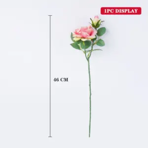 S4112161081194078b58acfadd7a24397G