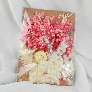 S41fa5555687e4f02ac5cab6dbfb117b1W