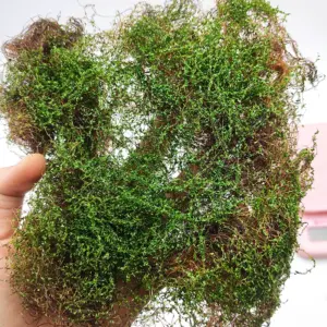 Realistic Miniature Hay Scene Model in 12 Colors 12 S42a1832ef368499ab04aa8d8e12b9c1dc