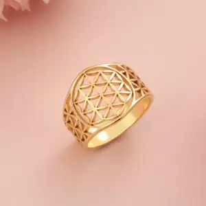 S4443d11f908344fdb76efba20c3ef1ee7