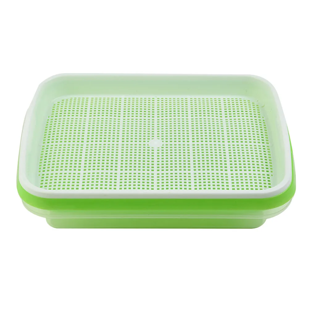 Vibrant Microgreens Growing Tray 33x26x9cm 3 Vibrant Microgreens Growing Tray 33x26x9cm - Image 3