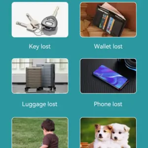 S45e6c5fdcc83458ab17e80fad22e82e1Q