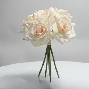 S46425c0cc12e4da9813291af4da19733s