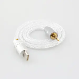 Premium Silver USB-C Audio Cable for HiFi Sound 11 S46f706ba0eb2443b81c0361335f12e07V