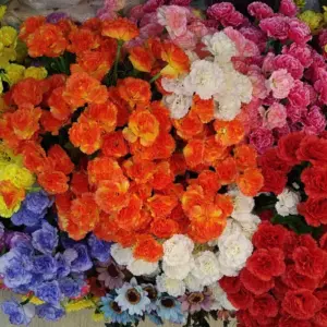 S4879b2da2b5d43278e4d59cfaffaac2cA