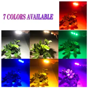 S49786b38539445b5affdebe1d26dded1e