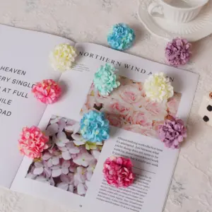 S4ab577931a244907ae3a46adebf31df53