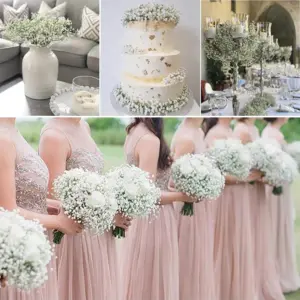 S4ab7c076c9ab44229c17e9fbeceb3113N