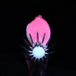 Vibrant Luminous Squid Jig Set for Fishing 9 S4adfa0c758fb4178914edeffaafe1485p