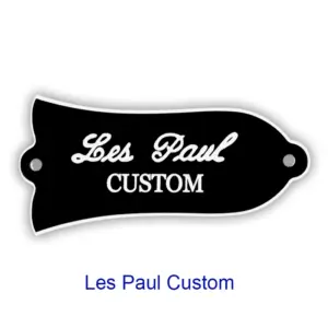 Gibson Les Paul Black Truss Rod Cover Plate 17 S4b434456663c4a4280e872de16e320a1E