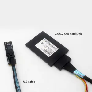 M.2 PCIe Adapter Card for NVMe SSDs 8 S4ca76bdb3c754e29a1a88ac0f300276dQ 1