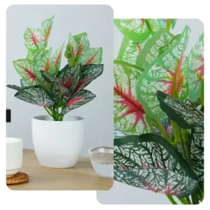 S4dcb1c53cacf40ac9b9b22c2eef2a7062