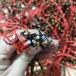 S4f16e127d1894d199be390893e77d814V