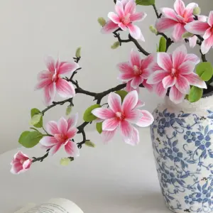 S4f3de76346244641983cc068013c596dB