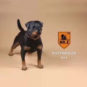 Realistic Rottweiler Model by Mr.Z 10 S4f503d72c5a84d1baa80694b0a99c485o