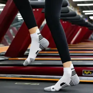 S500480841fda4e378d45e24c5e3e2b43t