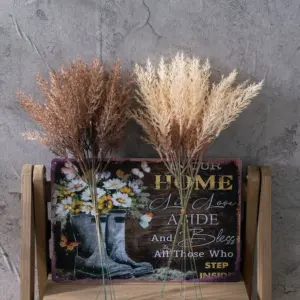 S50b2ea74df40481f8456000f4779e5c8e