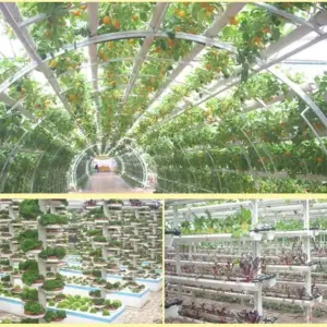 S527144a81f004e17a5953d5957eb6355o