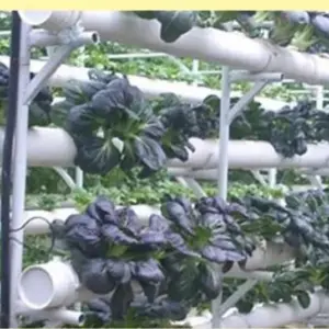 S531b1ba71a704621b233c45facd25891u