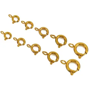 Stainless Steel & Gold Spring Clasp Set for Jewelry 10 S533d9818a283452fb4e0dda0465734afN