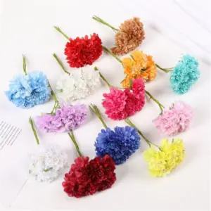 S549b1771cad7497d92a6581fe213d633i