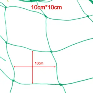 S54b2754dc1c94df5b06e72a30516bab9i