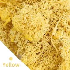 S564ed2edd78649a6b4798009e68beeb1K