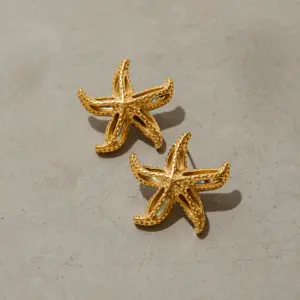 Stainless Steel Gold Starfish Earrings 8 S5797c3bdf4464e20971666bf25dfe6215