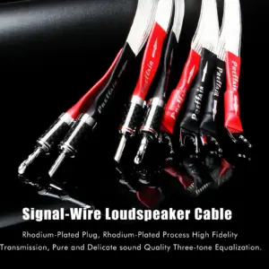 S58a5a703ae1346f8918263566d5e8c73A