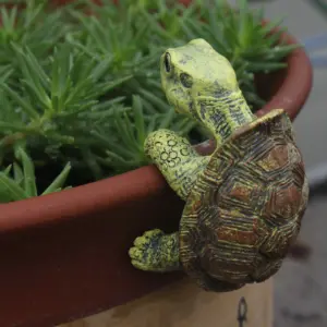 S59a43bbcf4204f3e804fa5be7bc2063bC